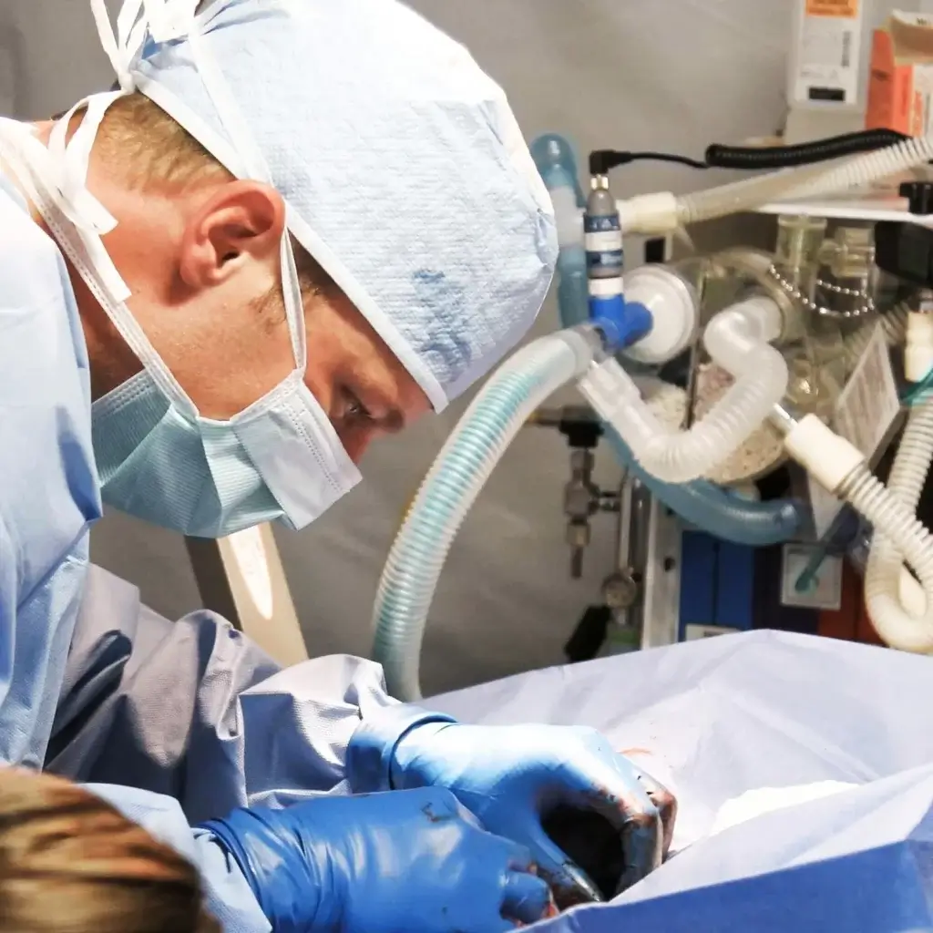 Rekrutierung medizinischer Fachkräfte für Usability-Tests | Medizintechnik 9 Human Factors & Usability Engineering - - Medical Devices